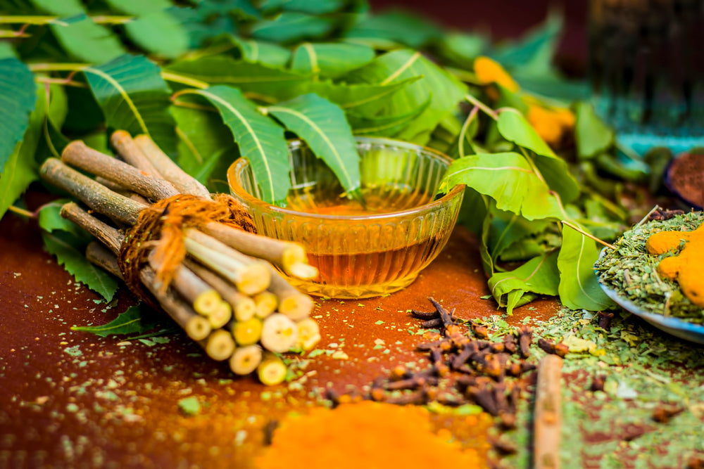 Neem: The Skincare Ingredient You Never Knew You Needed